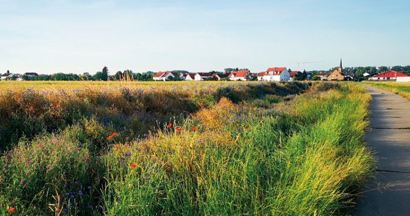 gruenes_riedstadt Riedstädter Idyll, © T. Thissen