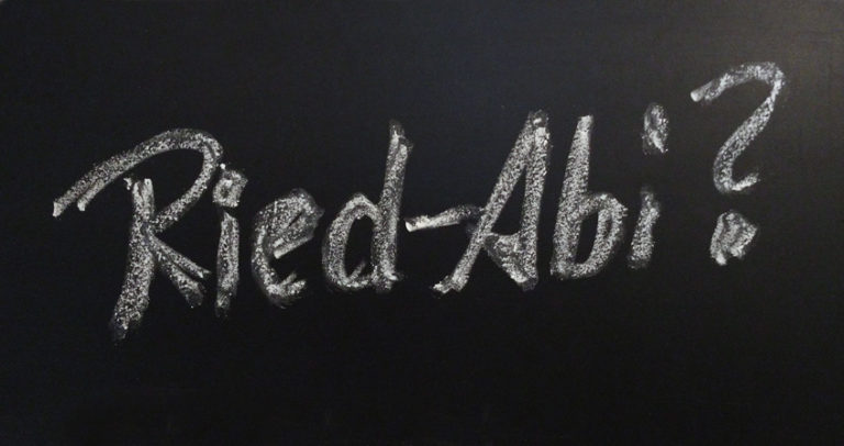 Riedstädter Bürgermeister Marcus Kretschmann stimmt gegen die gymnasiale Oberstufe an der MNS