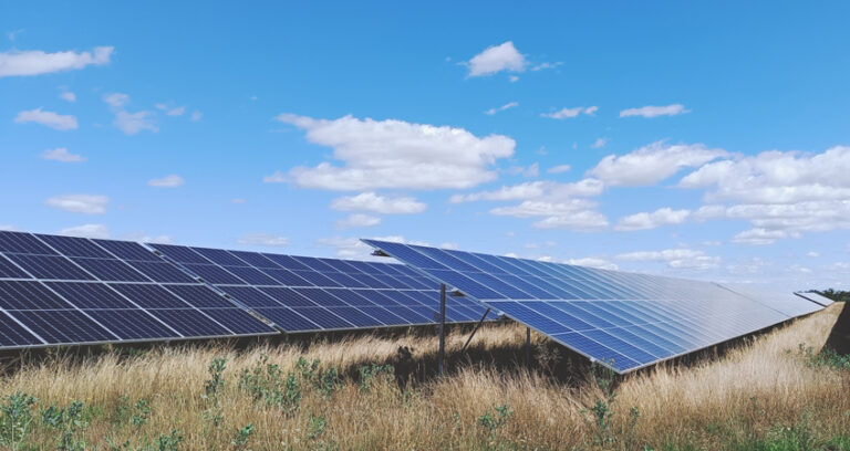 Geplante Freiflächen-Solaranlage in Leeheim – Riedstädter Grüne fordern Maßnahmen zum Schutz des Bodens