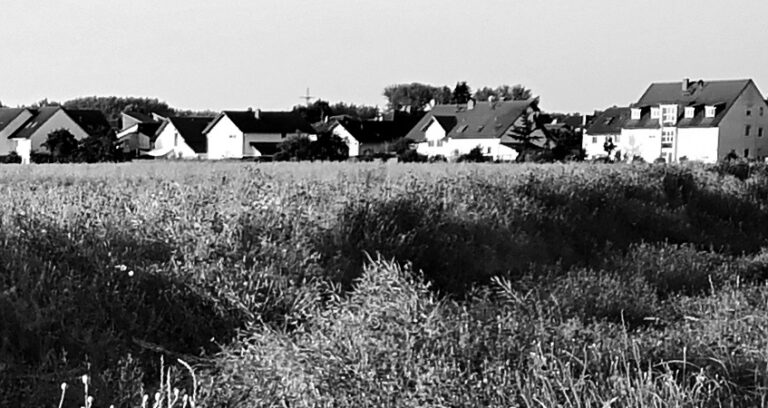 Grüne wollen Leerstand bekämpfen